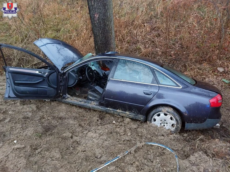 Powiat zamojski: Audi uderzyło w drzewo. Dwie osoby w szpitalu