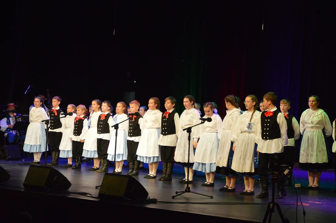 Folklor nadwiślańskich regionów w Puławach [ZDJĘCIA] - Zdjęcie główne