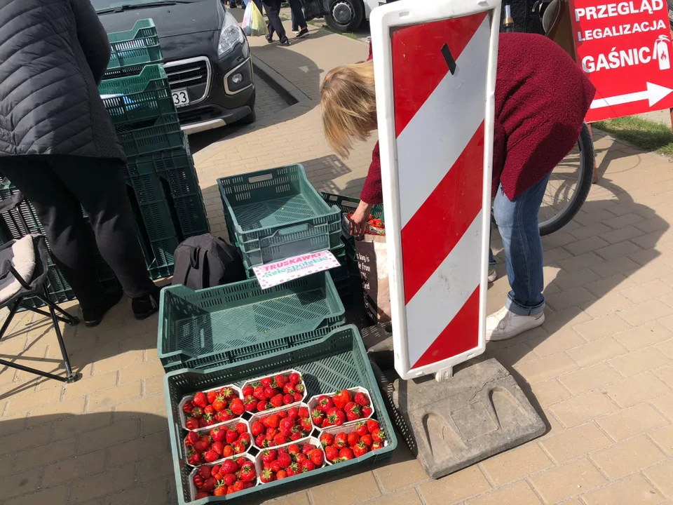 Ceny truskawek Biłgoraj