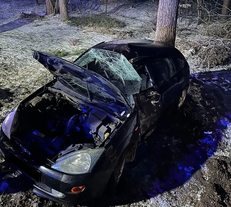 Powrót zimy w powiecie parczewskim. Jedno auto wylądowało na drzewie, drugie w rowie  (ZDJĘCIA) - Zdjęcie główne