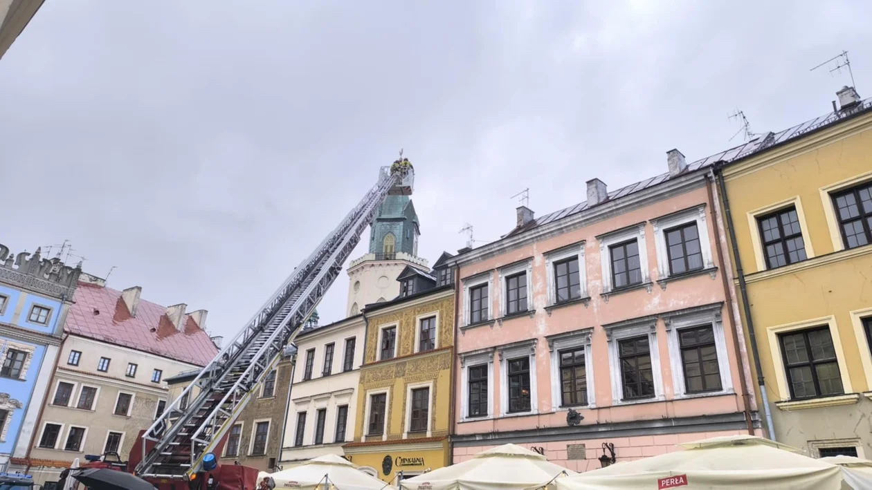 Stare Miasto