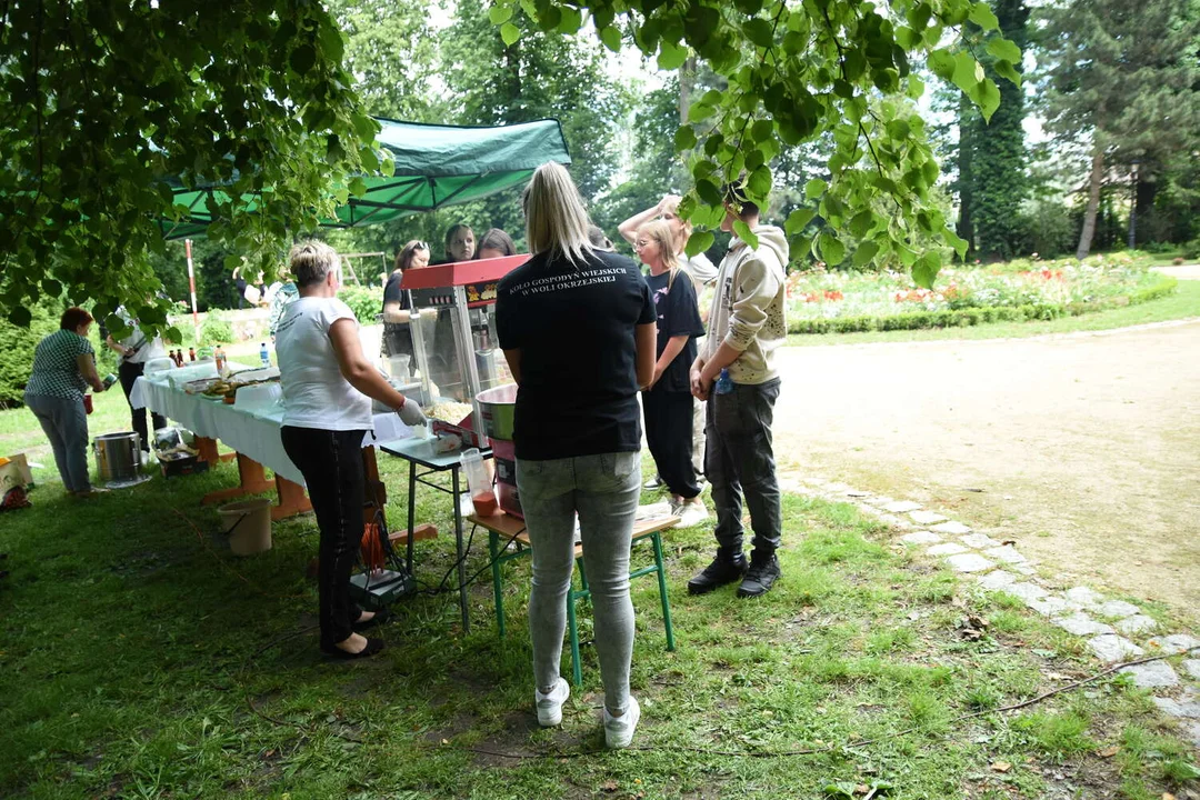 Questing na terenie Muzeum Henryka Sienkiewicza