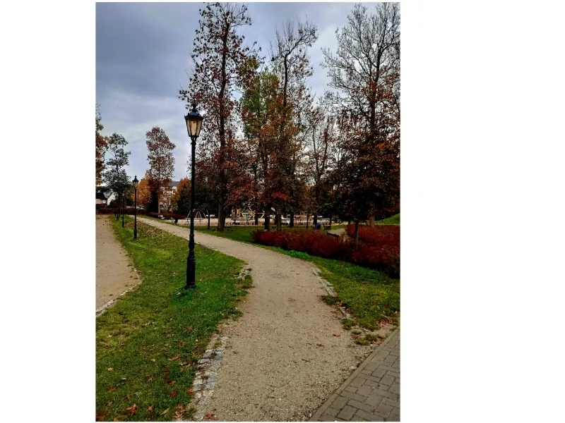 Łuków w obiektywie uczniów ZS nr 2 w Łukowie