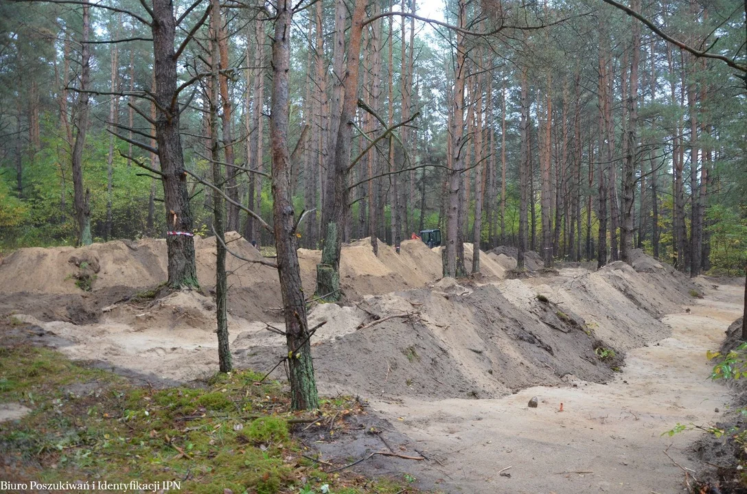 IPN szukał pochówków żołnierzy w lasach na Lubelszczyźnie