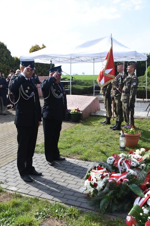 Rekonstrukcja Józefów Duży cz.1