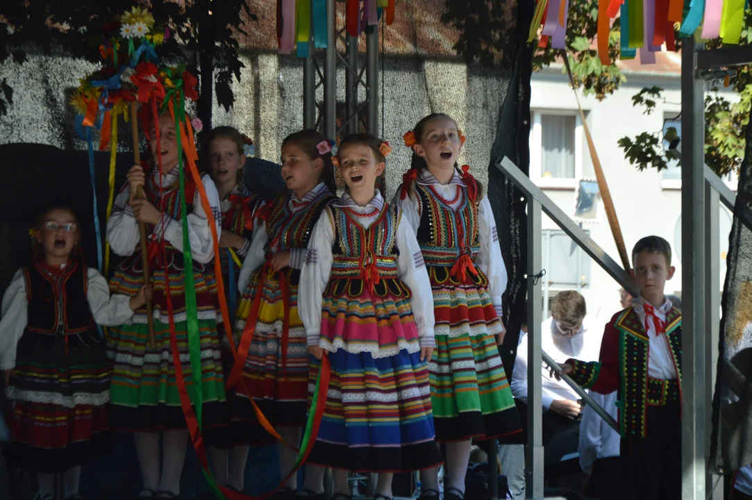 Dożynki powiatowe 2024 w Wąwolnicy