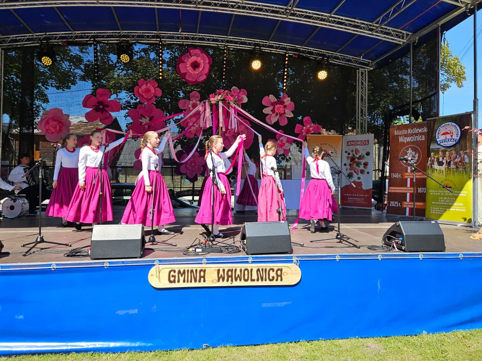 Dni Wąwolnicy - II Dzień (galeria)