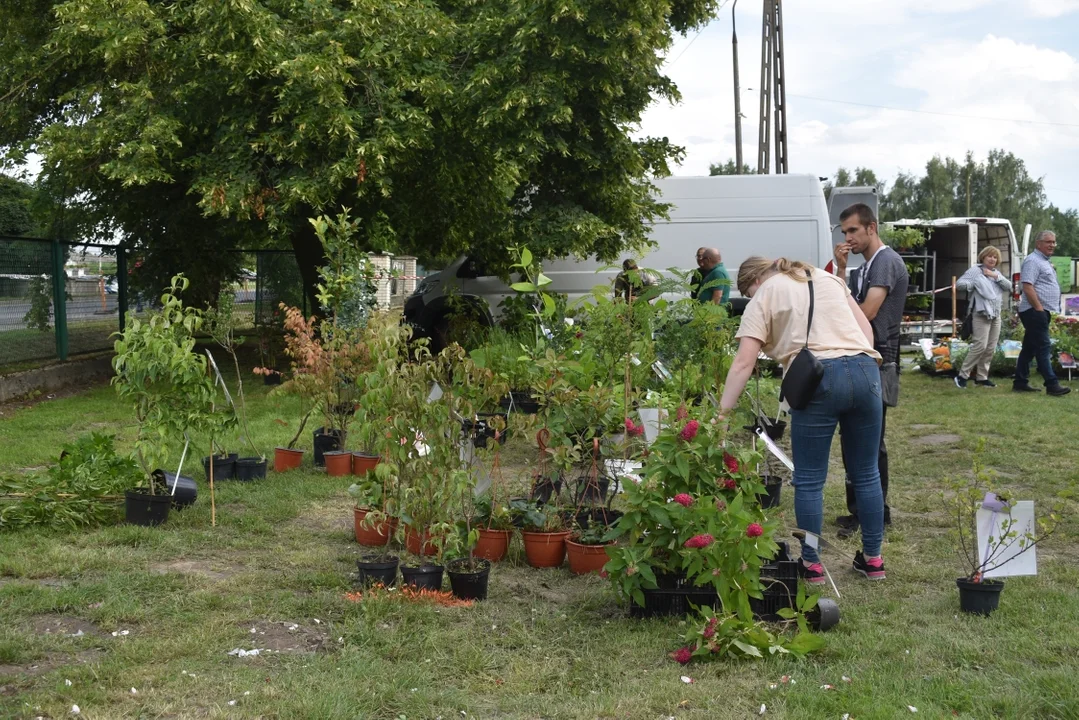 Święto Róż w Końskowoli - piknik rodzinny