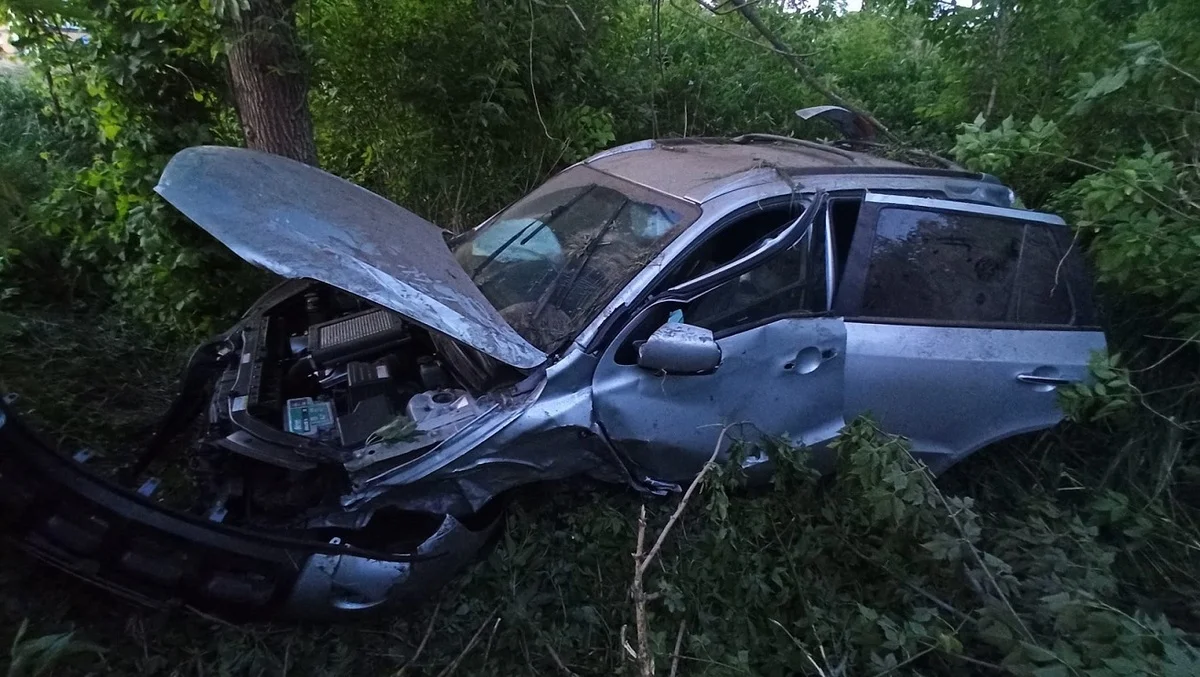 Biała Podlaska: Pożyczył auto od znajomego. Będąc nietrzeźwym, rozbił je na drzewie - Zdjęcie główne