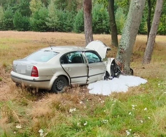 Powiat radzyński: Śmiertelny wypadek w Stasinowie. Nowe informacje