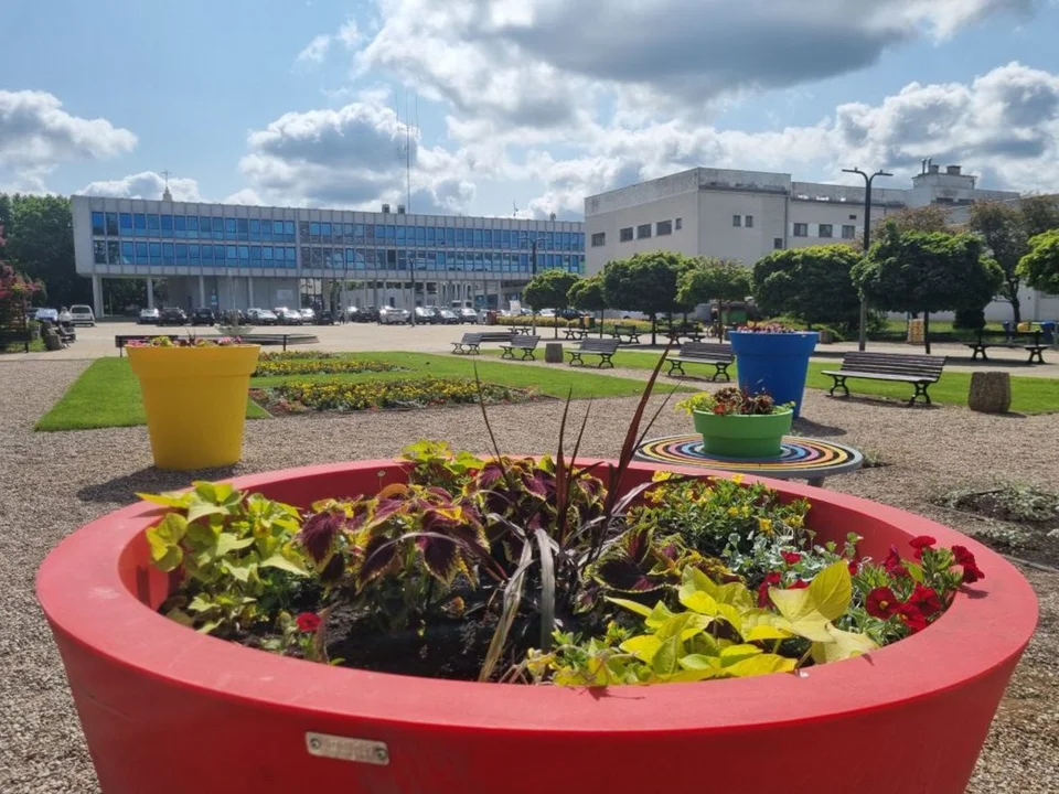Miejskie rabaty w Puławach w letniej odsłonie