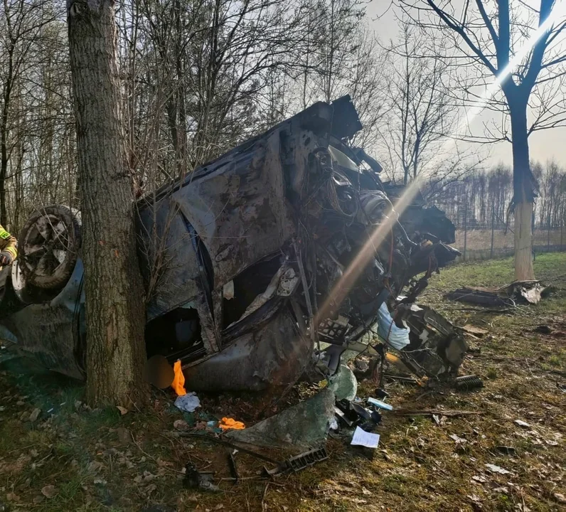 Bronowice: BMW wylądowało na drzewie (ZDJĘCIA) - Zdjęcie główne