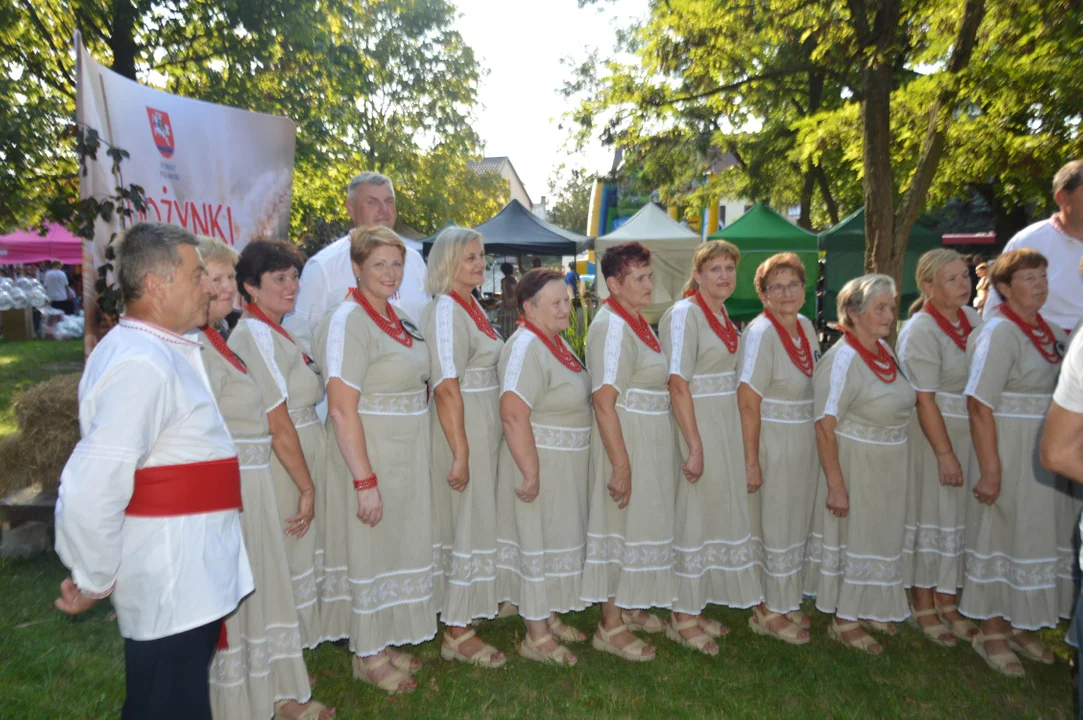 Dożynki Powiatowe w Wąwolnicy