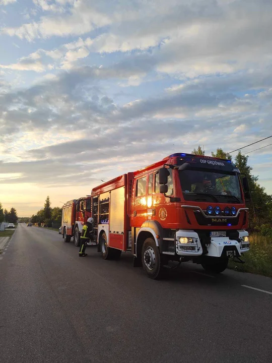 Płonęły trawy w Gręzówce. Strażacy ugasili pożar