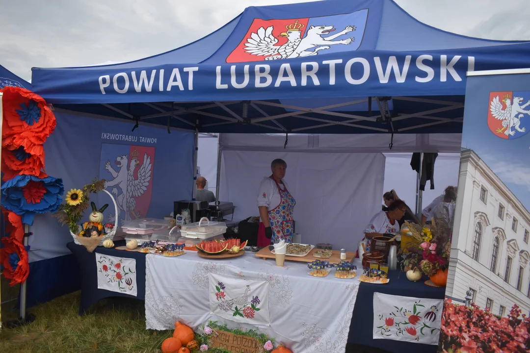Dożynki Wojewódzkie w Świdniku. Wielkie święto plonów i tradycji [ZDJĘCIA CZ. 2]