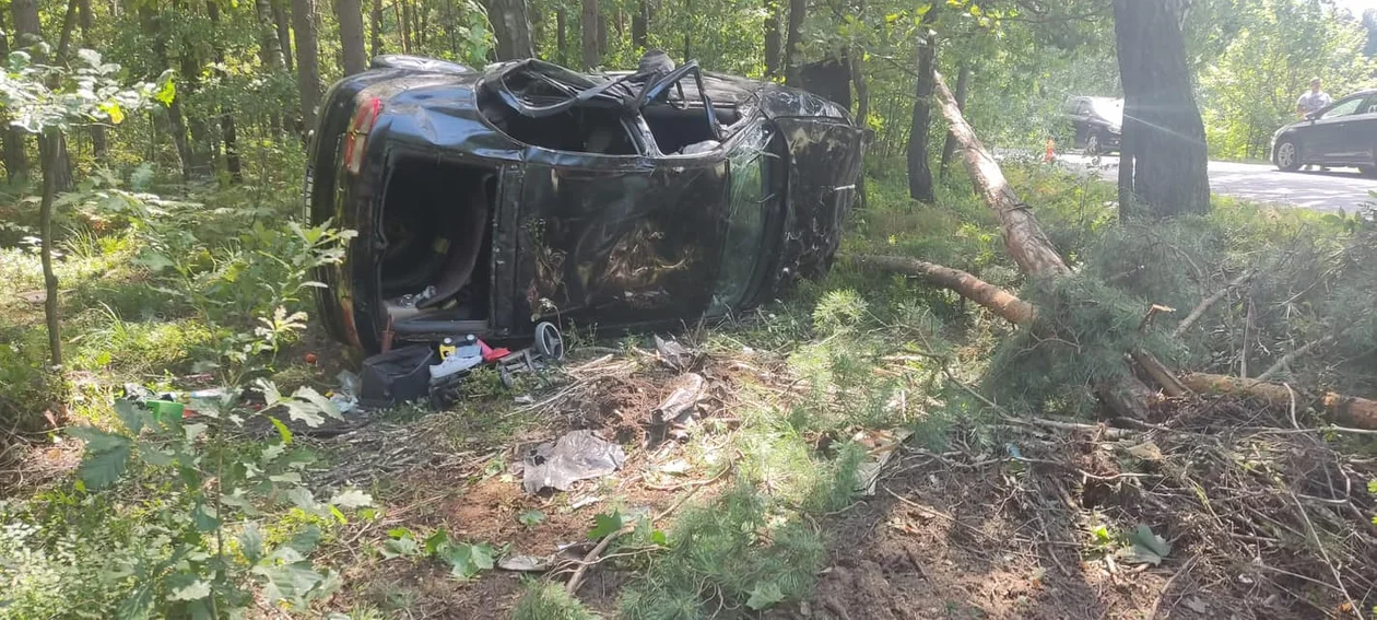 Poważny wypadek drogowy w okolicach Okrzei. Samochód w lesie, kierowca ranny - Zdjęcie główne