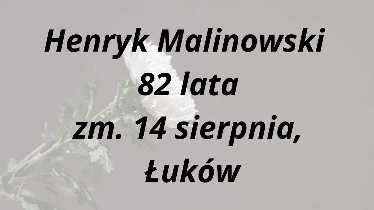 Nekrologi Łuków ( 14 - 29 sierpnia)