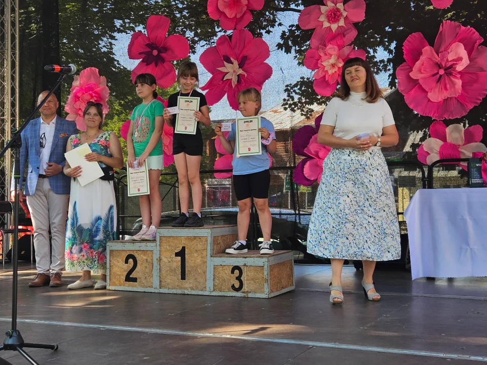 Dni Wąwolnicy - II Dzień (galeria)
