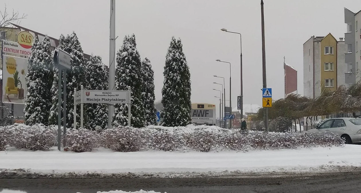 Biała Podlaska: Do miasta zawitała zima (ZDJĘCIA) - Zdjęcie główne