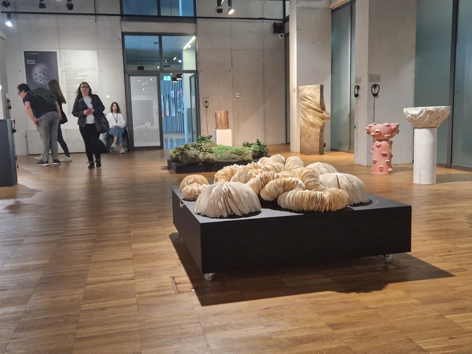 Noc Kultury w Lublinie. Cześć 1
