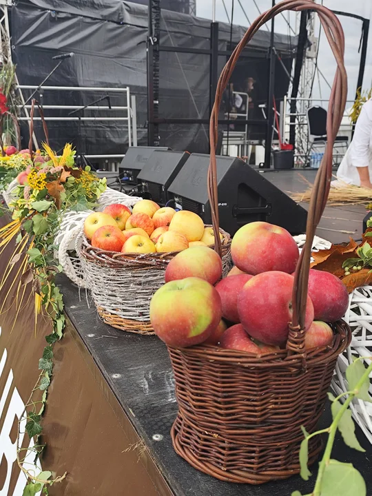 Dożynki Wojewódzkie w Świdniku. Wielkie święto plonów i tradycji [ZDJĘCIA CZ. 2]