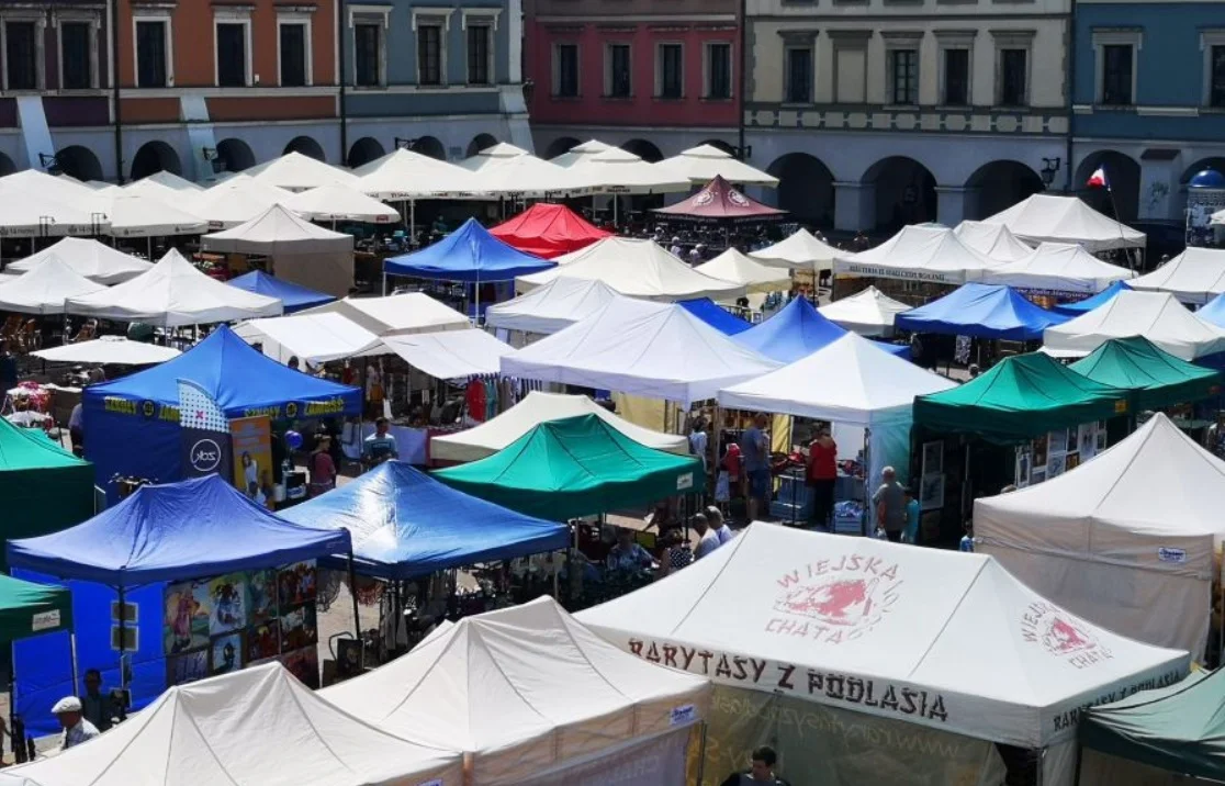 Specjalna grupa ma powstać w Zamościu. Będzie odzew? - Zdjęcie główne