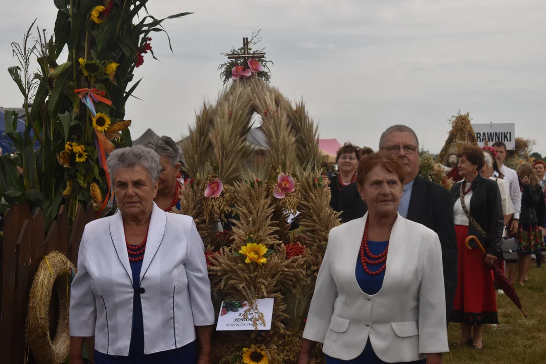 Dożynki Województwa Lubelskiego w Świdniku. Tak dziękowali za plony [ZDJĘCIA CZ. 1]