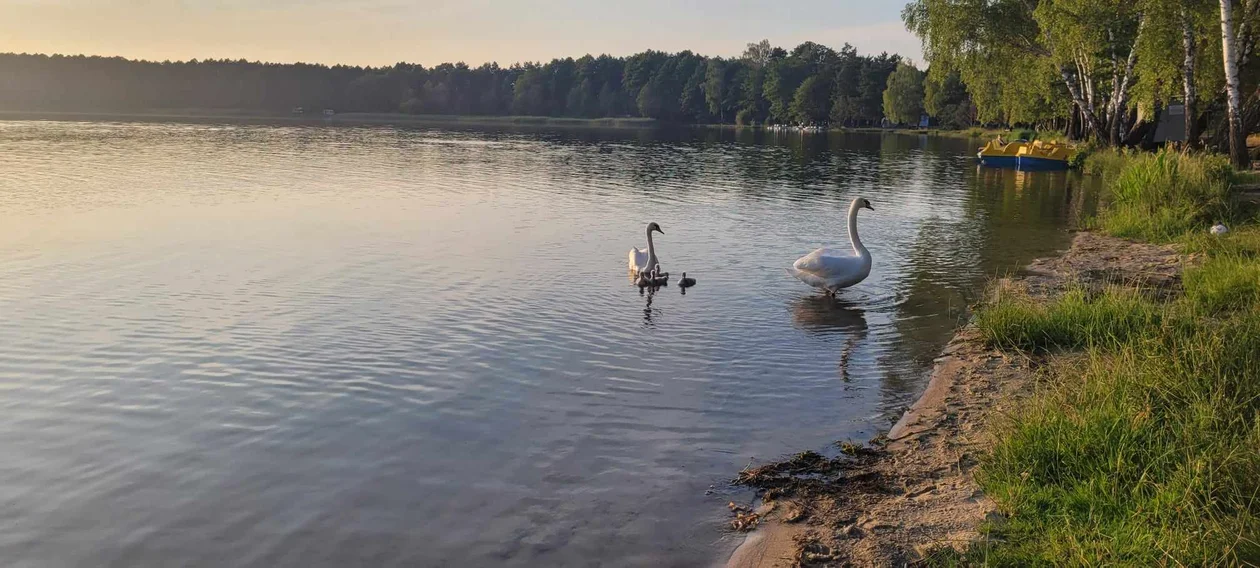 Zatruło się niemal 30 osób. Sanepid sprawdził wodę w jeziorze Zagłębocze - Zdjęcie główne