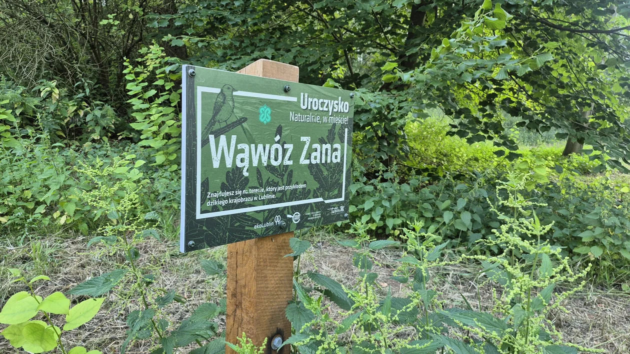 Wąwóz Pokolenia w letniej odsłonie