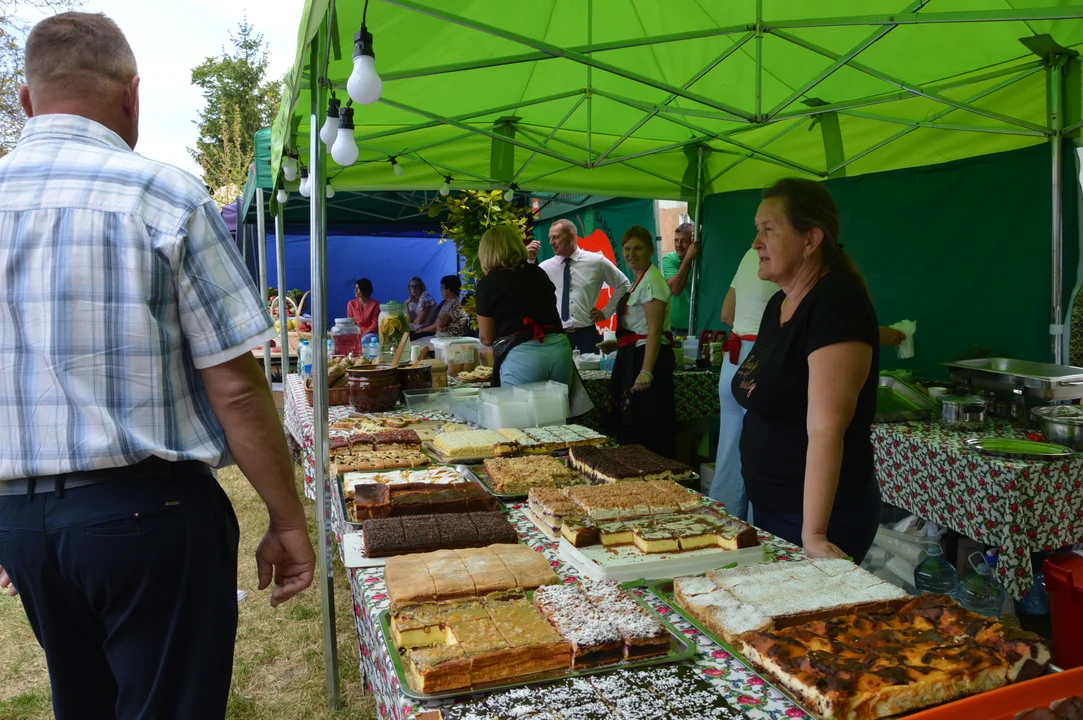 Święto Sadów 2024 w Józefowie nad Wisłą