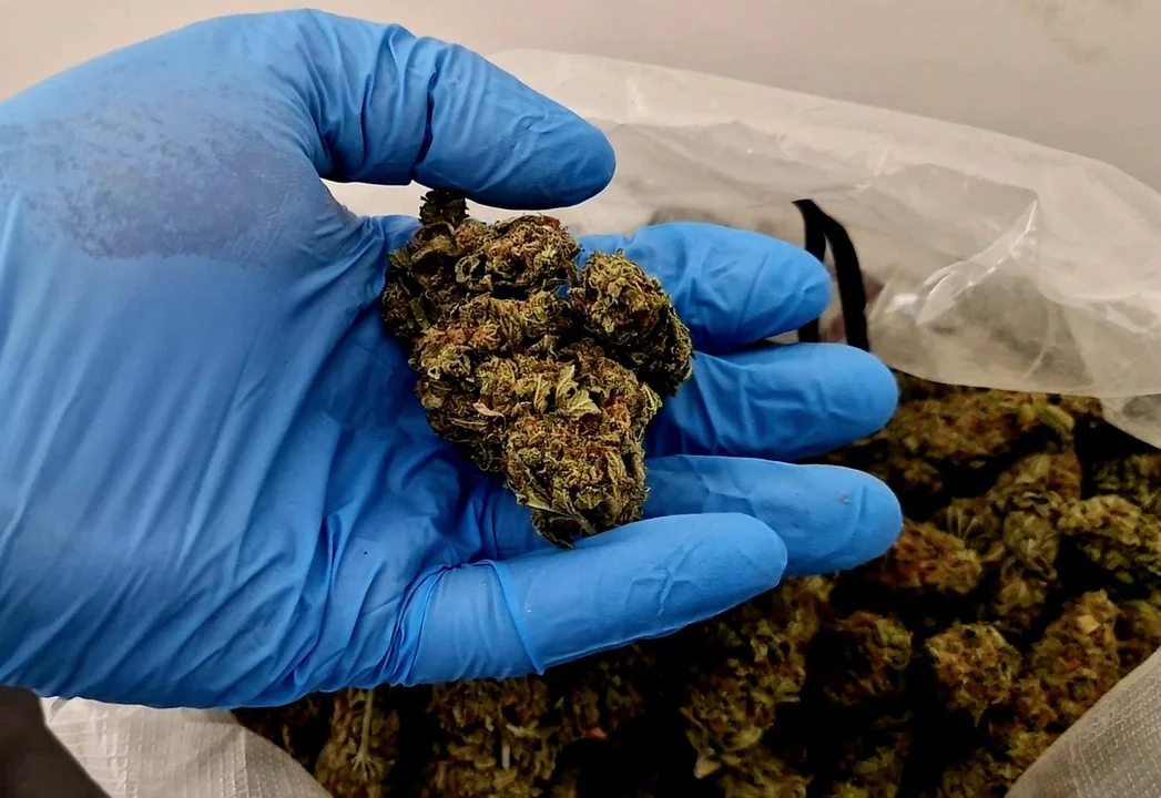 Parczew: Seryjny włamywacz i złodziej w rękach policji. Nie tylko to ma na sumieniu