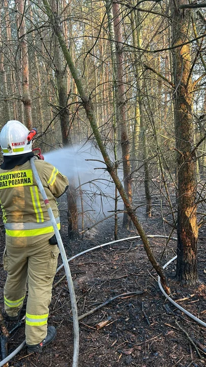 Powiat garwoliński w ogniu. Ruszył sezon wypalania traw
