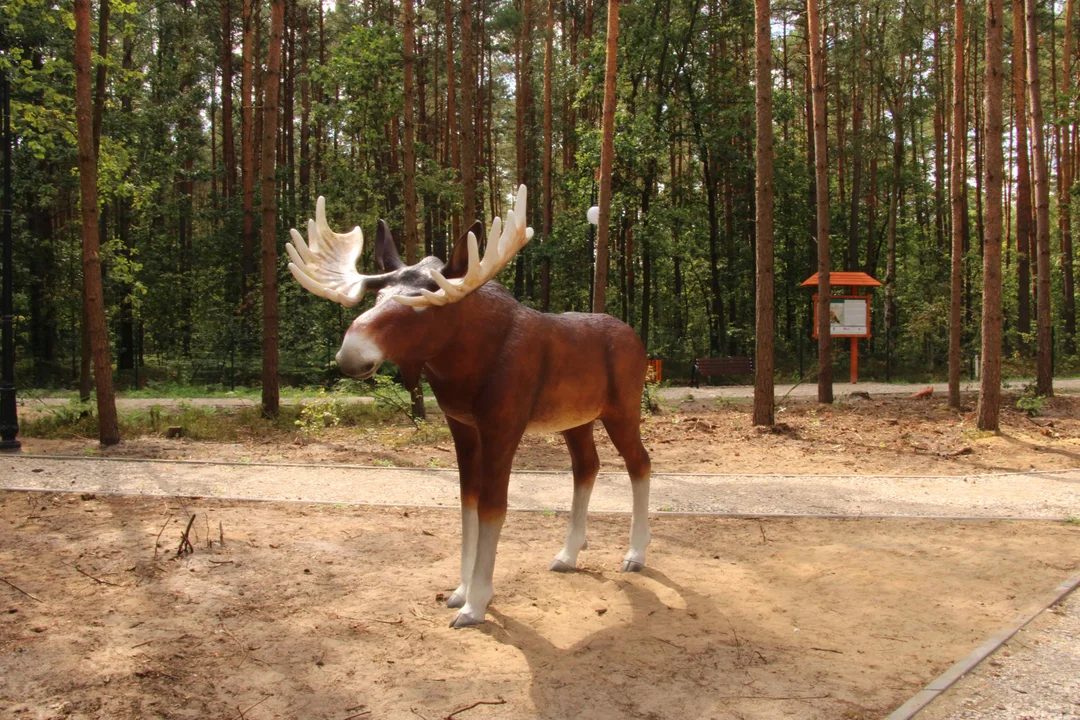 Leśny Zespół Rekreacyjno – Edukacyjny "Amonit"