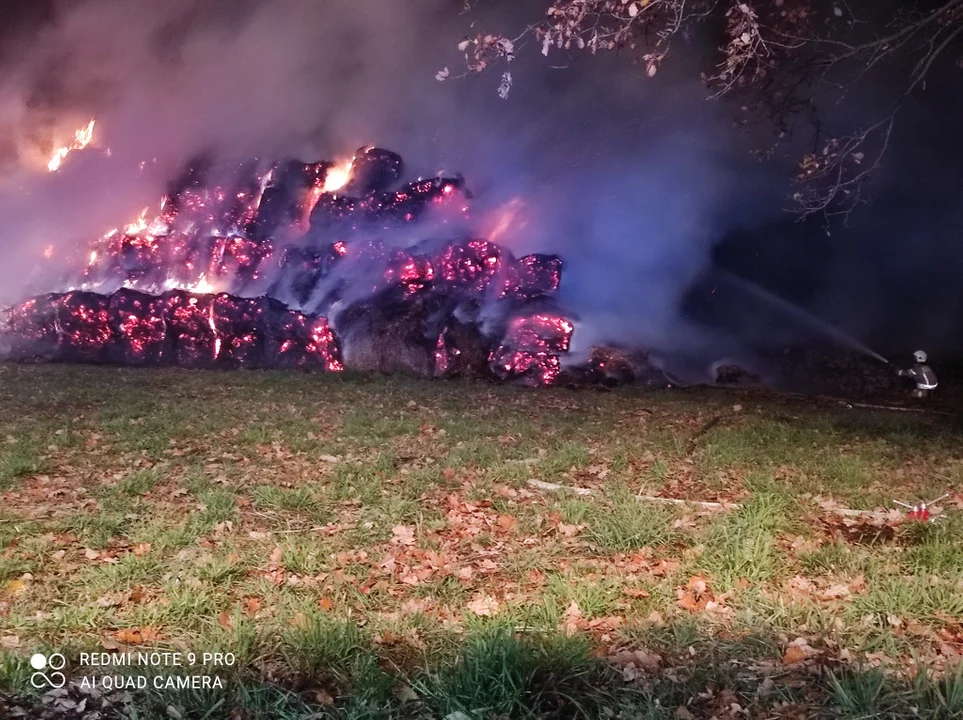 Spaliło się 200 bel słomy na polu (zdjęcia) Gasili je zawodowi strażacy i OSP z gminy Wola Mysłowska