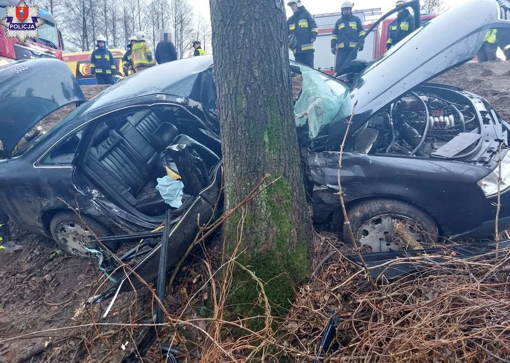 Powiat zamojski: Audi uderzyło w drzewo. Dwie osoby w szpitalu - Zdjęcie główne