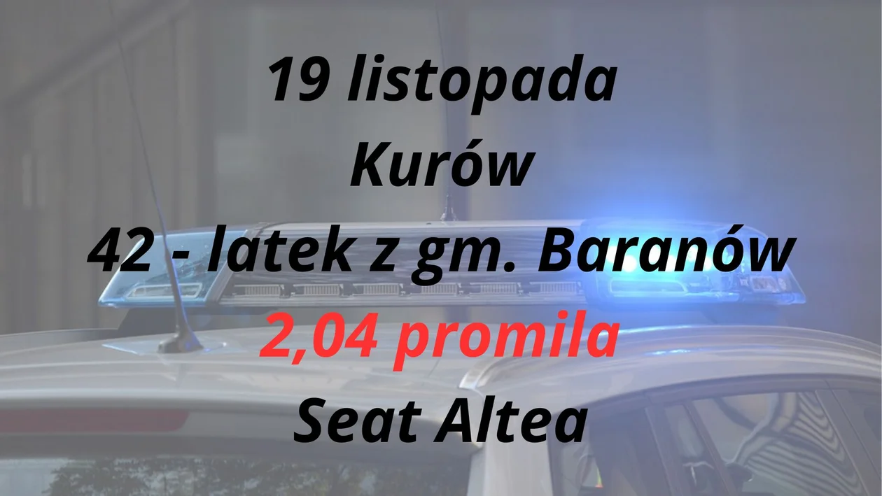 Powiat puławski: Nietrzeźwi kierowcy - listopad 2023 r.