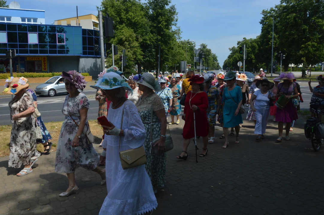 Parada kapeluszy w Puławach