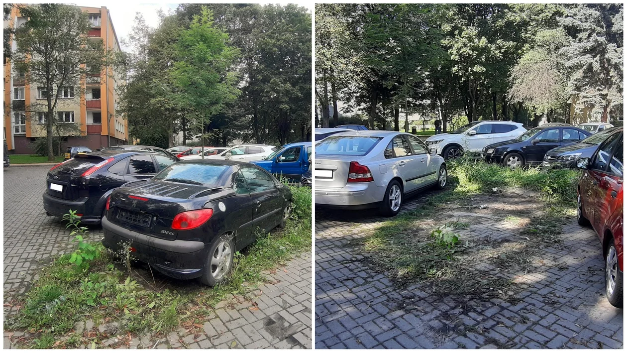 Lublin. Porzucone samochody wkomponowane w miejską architekturę. Jak pozbyć się wraków zalegających na lubelskich parkingach? - Zdjęcie główne