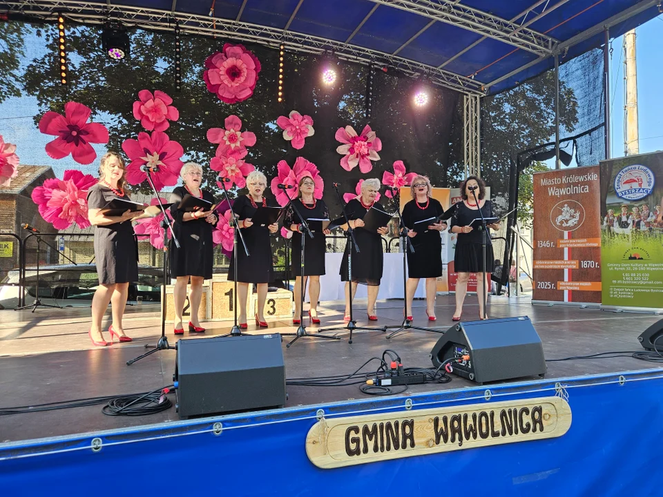 Dni Wąwolnicy - II Dzień (galeria)