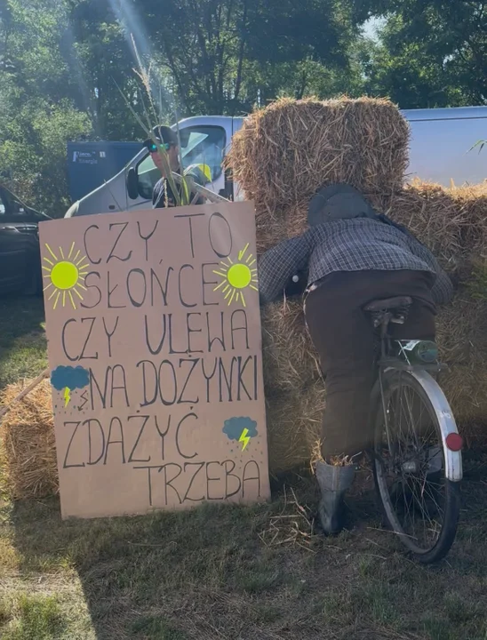 Słomiane cuda i artystyczna wyobraźnia. Zobacz najciekawsze dekoracje z dożynek w gminie Ostrówek! - Zdjęcie główne