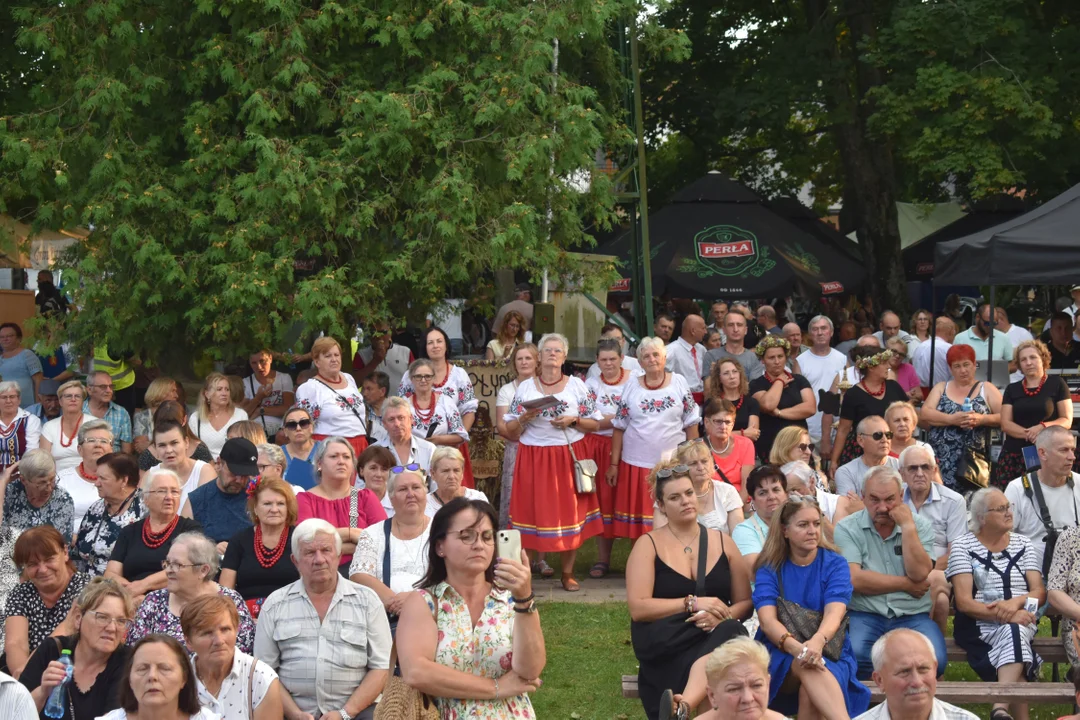 Dożynki Powiatowe w Wąwolnicy