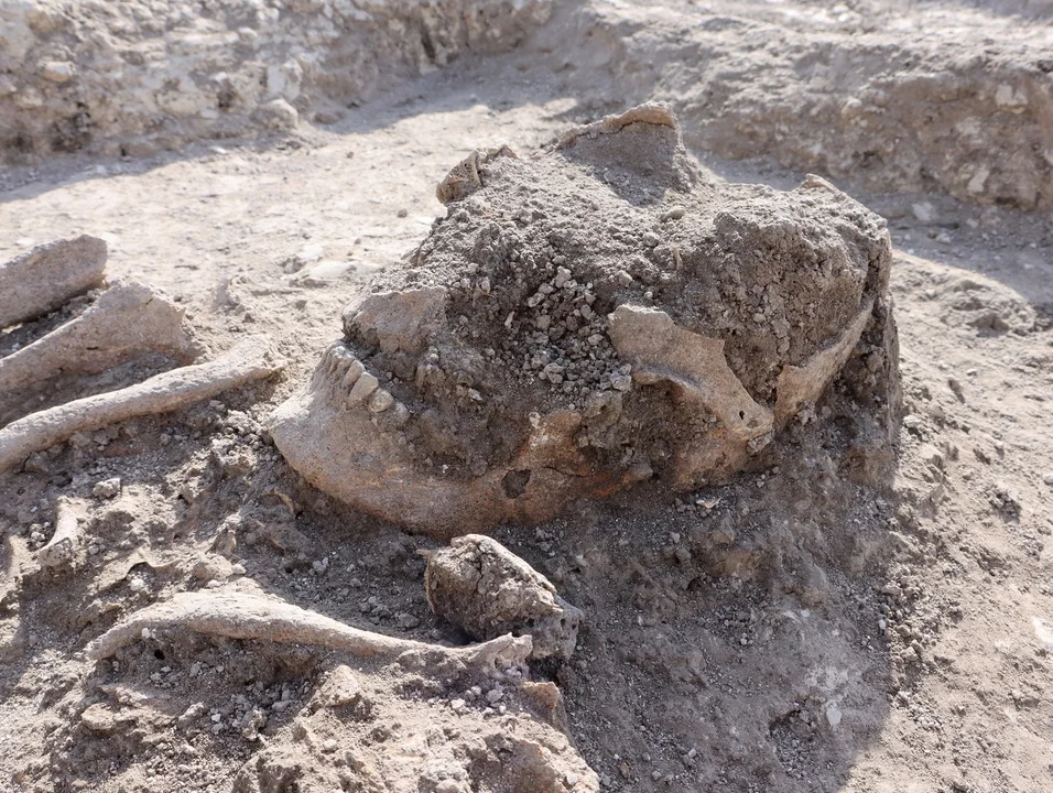 Niezwykłe odkrycie archeologów na Lubelszczyźnie. Odkryli pochówki w miejscu dawnego targu