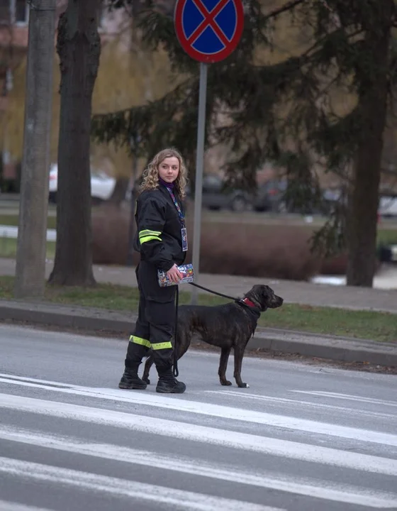 5. Bieg WOŚP “Policz się z cukrzycą” - Puławy