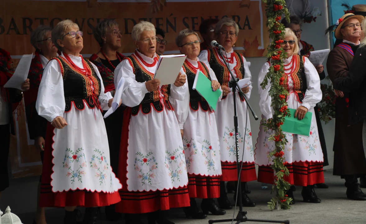 Dzień Seniora w Lubartowie. Wyróżnienia Aktywny Senior (zdjęcia) - Zdjęcie główne