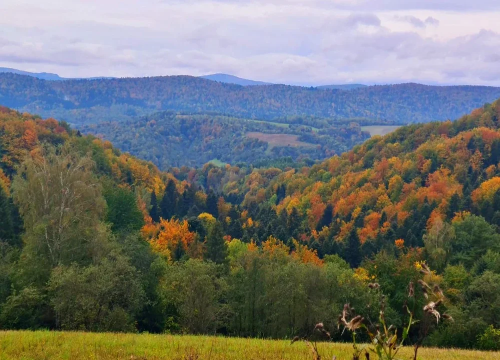 Widok na Otryt