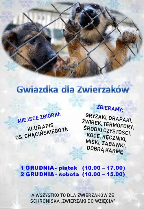 Imprezy w Powiecie Łukowskim w weekend 1-3 grudnia