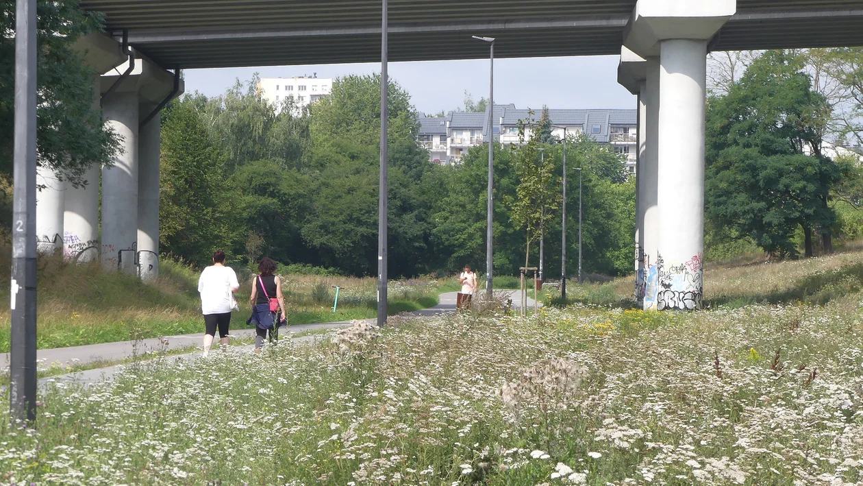 Popularne miejsce spacerowe w Lublinie. Park Rury im. urbanisty Romualda Dylewskiego zachwyca zielenią i niezwykłym krajobrazem. Zdjęcia i wideo - Zdjęcie główne