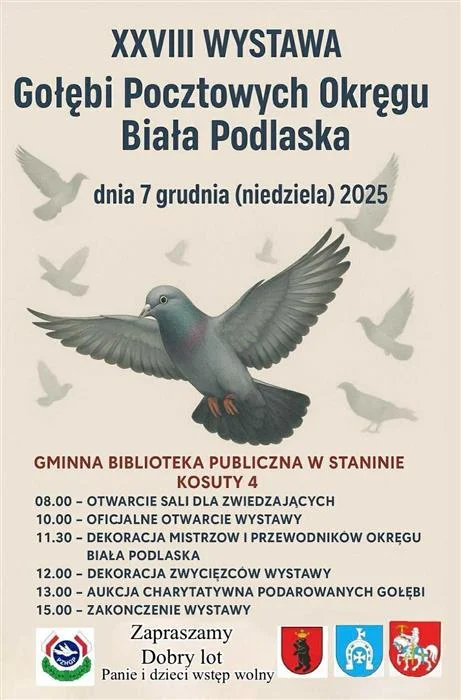 Gołębie w Kosutach