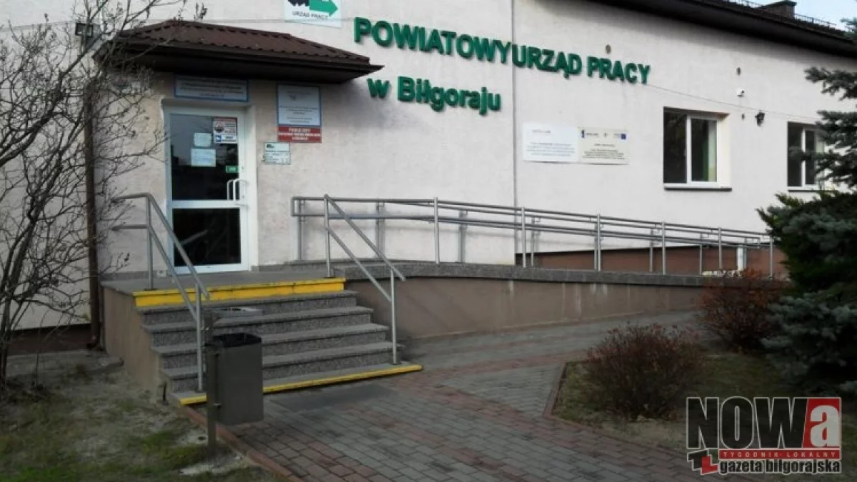 Oferty pracy w powiecie biłgorajskim. Kogo szukają pracodawcy? - Zdjęcie główne