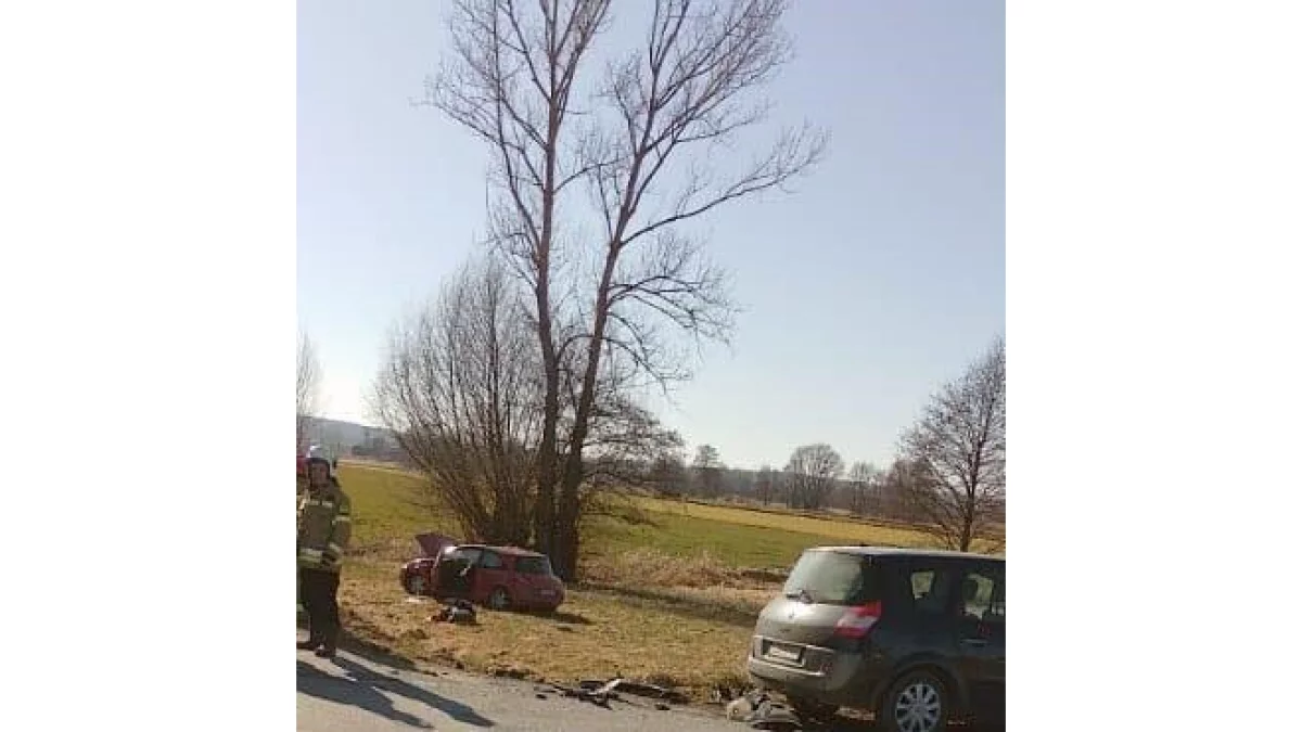 O włos od tragedii. Samochód dachował w gminie Turobin (foto) - Zdjęcie główne